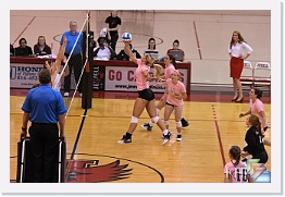 Set 3 * (102 Slides)